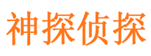 桃源寻人公司